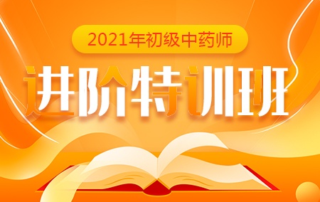 2021年初级中药师【进阶特训班】